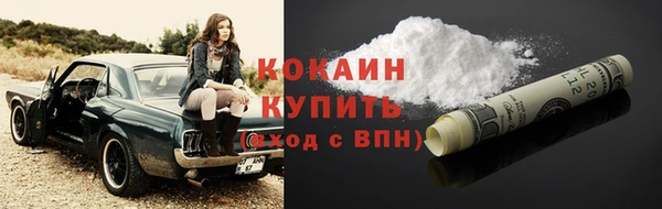 шишки Абаза