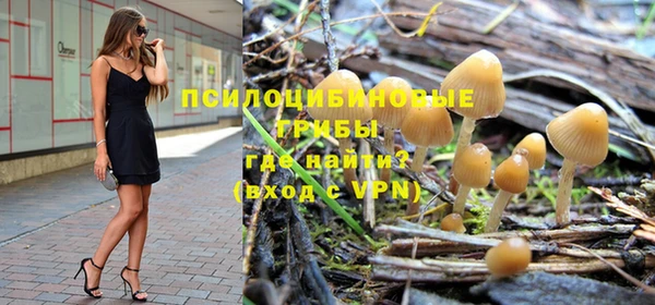 шишки Абаза