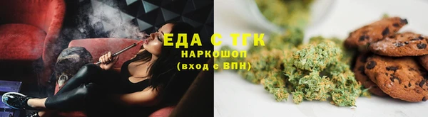 шишки Абаза