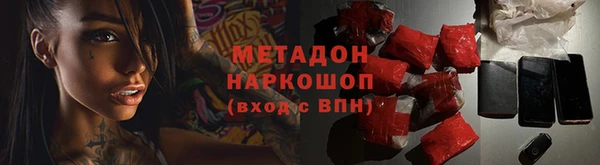 прущие грибы Абдулино