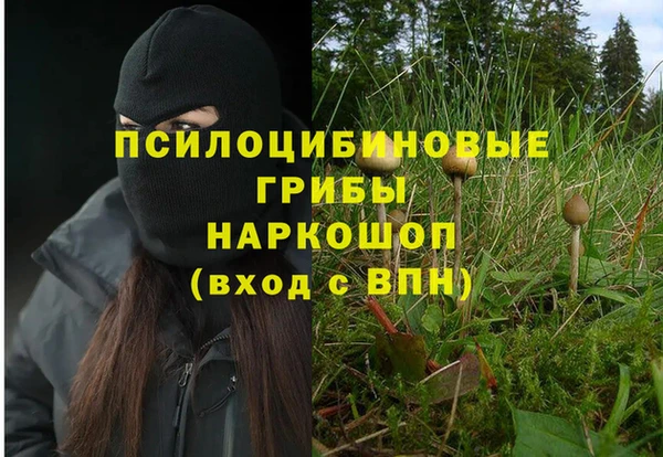 прущие крисы Абинск