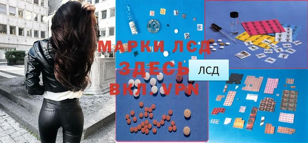прущие грибы Абдулино
