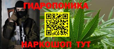 спиды Кинель