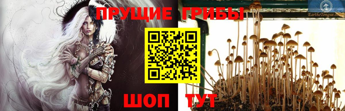 Кызыл  Псилоцибиновые грибы мухоморы  Псилоцибиновые грибы MAGIC MUSHROOMS  Вход с VPN 